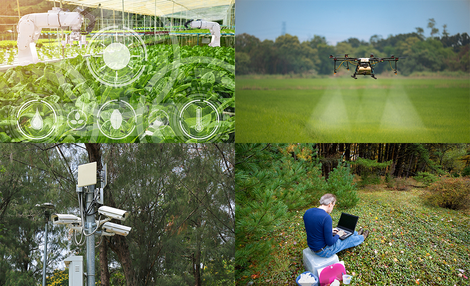 遠距離傳輸wifi模塊數(shù)據(jù)傳輸農(nóng)田/森林無線自組網(wǎng)應用